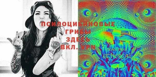 эйфоретик Абаза
