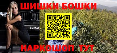 МДПВ Татарск