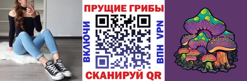 Псилоцибиновые грибы Cubensis  KRAKEN ONION  Нижний Новгород 