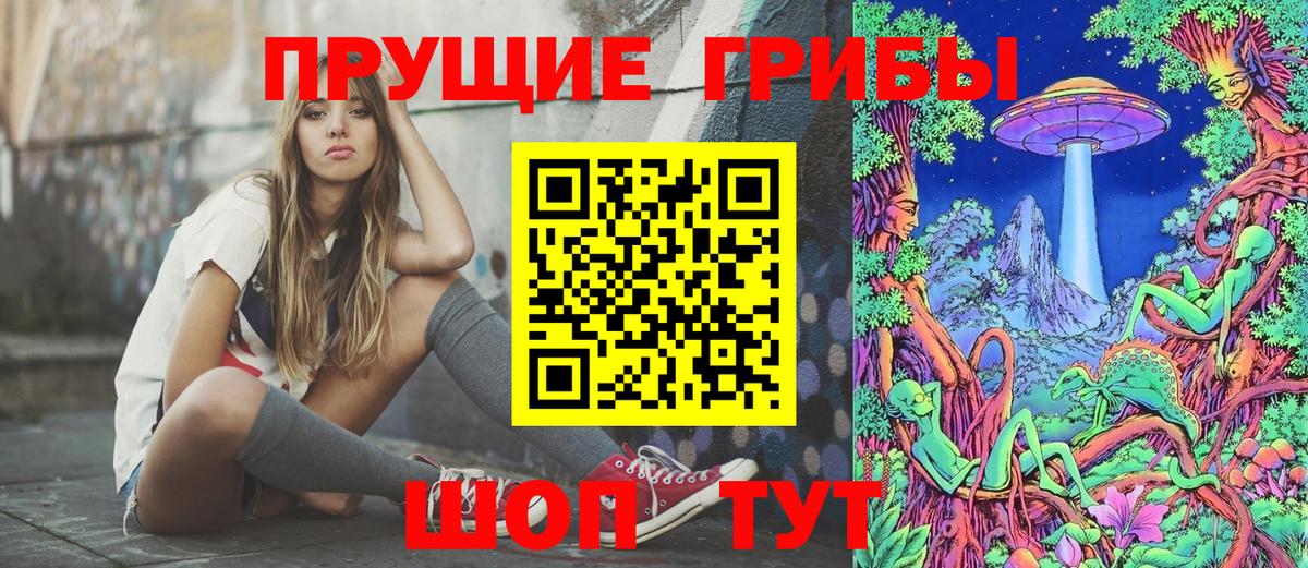 Псилоцибиновые грибы Psilocybe Нижний Новгород