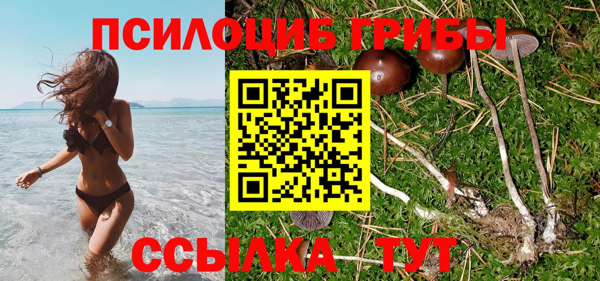 Галлюциногенные грибы Magic Shrooms  где купить наркоту  Нижний Новгород  Вход с VPN 